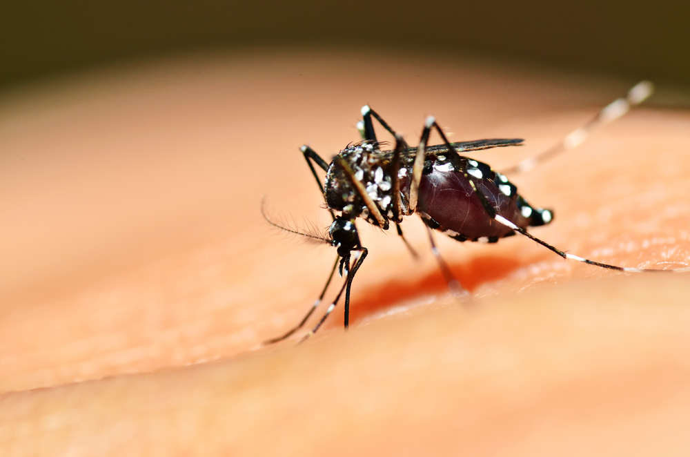 Vacina contra dengue – Dengvaxia‎